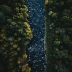 Aerial view of a river bordered by vibrant autumn foliage, showcasing a mix of green and yellow trees.